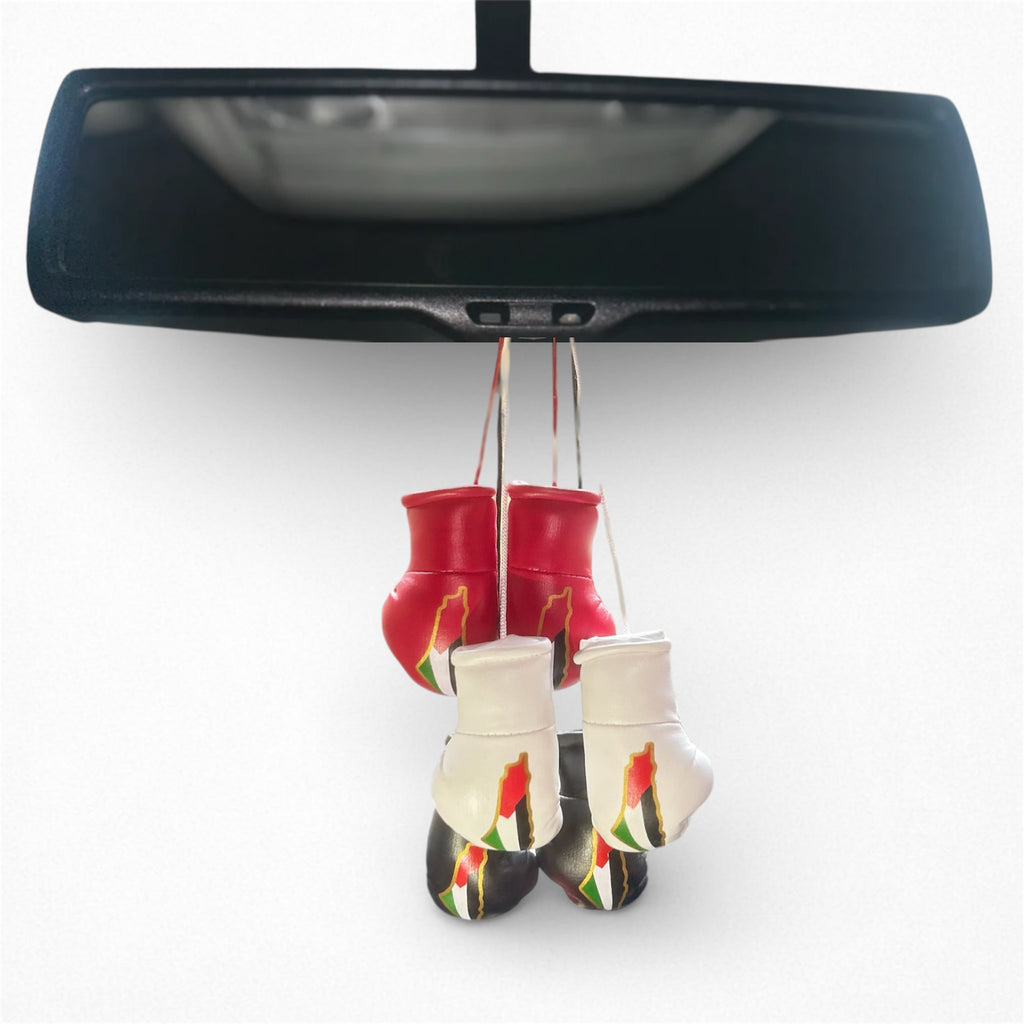 Miniature Palestine boxing gloves