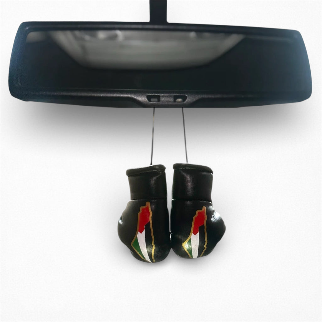 Miniature Palestine boxing gloves