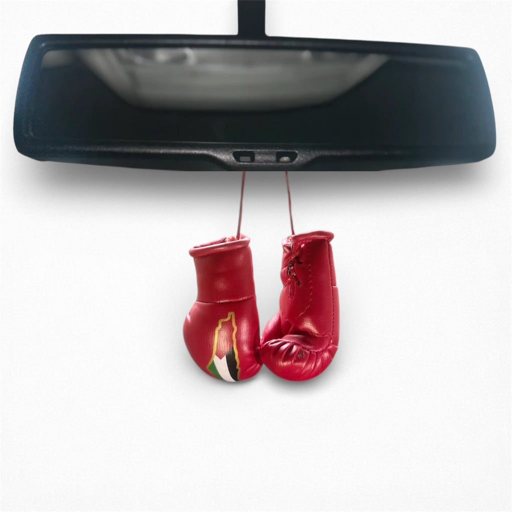 Miniature Palestine boxing gloves