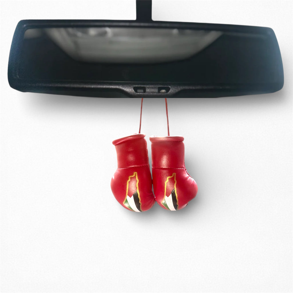 Miniature Palestine boxing gloves